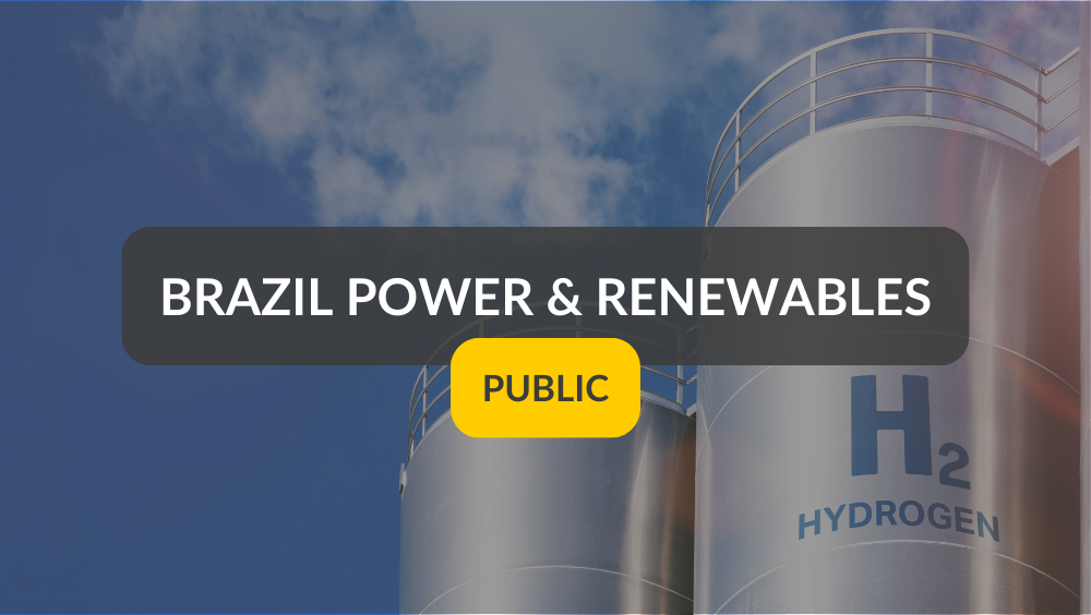 Brazil's Path to Renewable Hydrogen Leadership: Opportunities and Challenges Ahead